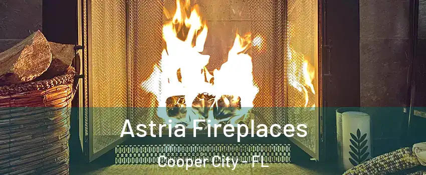  Astria Fireplaces Cooper City - FL