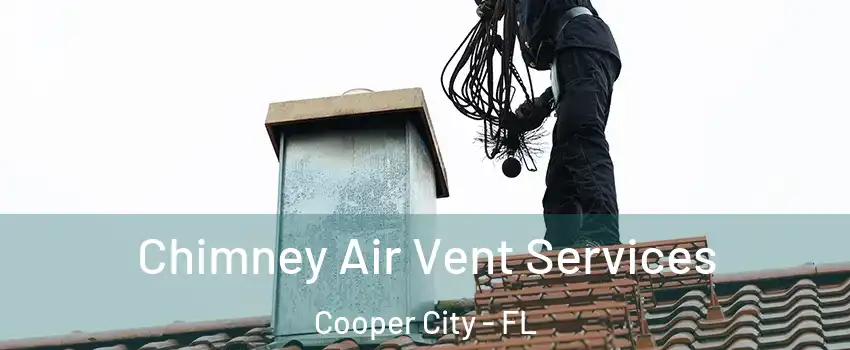  Chimney Air Vent Services Cooper City - FL