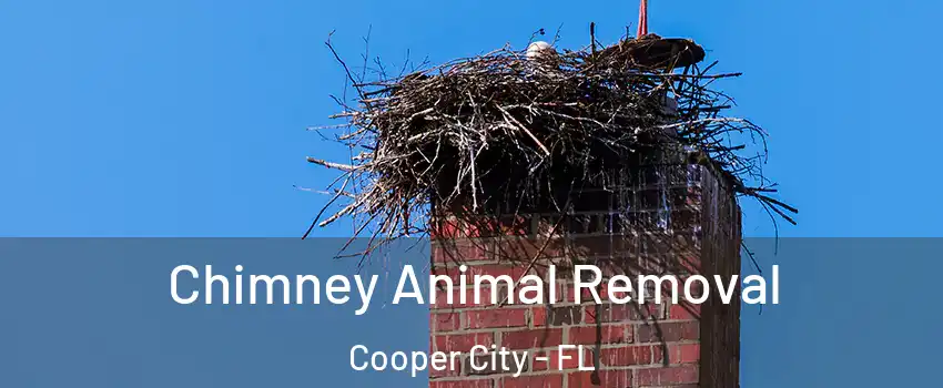 Chimney Animal Removal Cooper City - FL