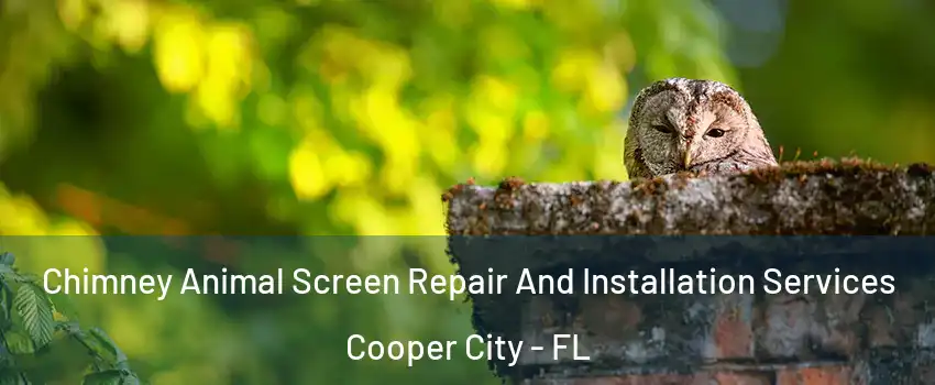  Chimney Animal Screen Repair And Installation Services Cooper City - FL