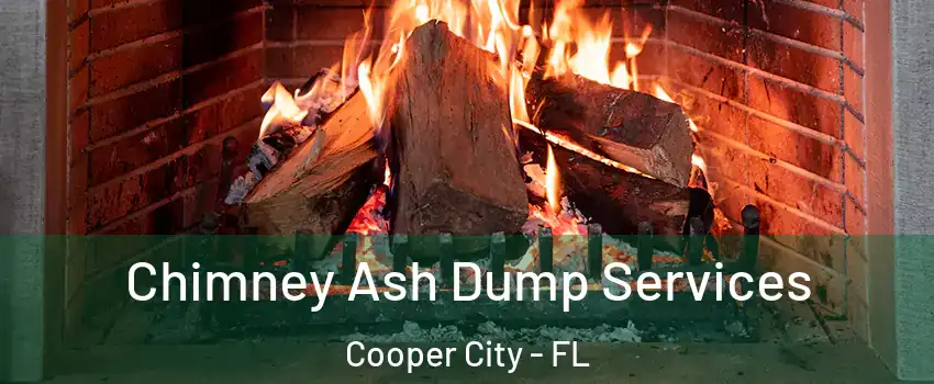  Chimney Ash Dump Services Cooper City - FL