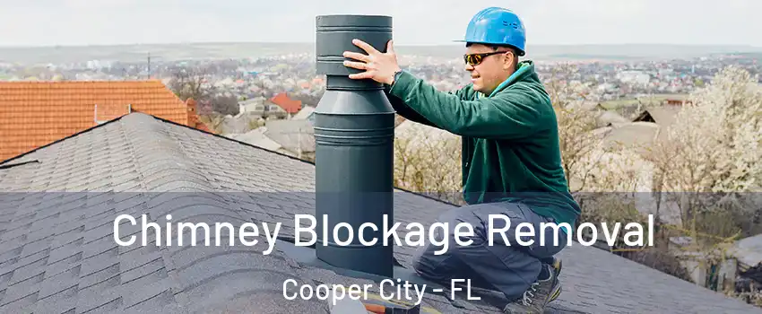 Chimney Blockage Removal Cooper City - FL