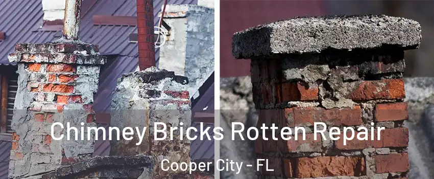  Chimney Bricks Rotten Repair Cooper City - FL