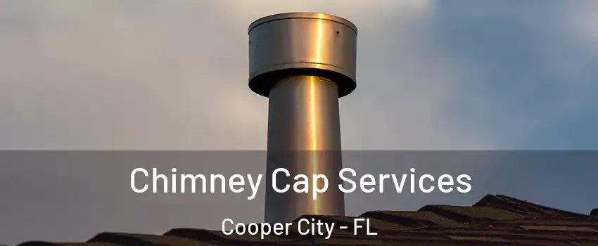  Chimney Cap Services Cooper City - FL