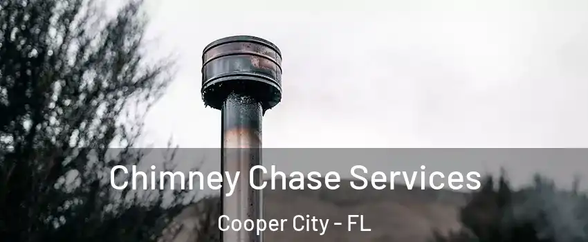  Chimney Chase Services Cooper City - FL