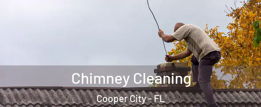  Chimney Cleaning Cooper City - FL