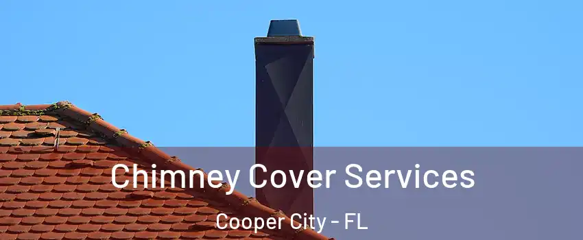  Chimney Cover Services Cooper City - FL