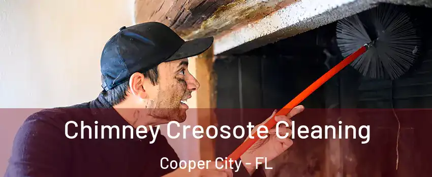  Chimney Creosote Cleaning Cooper City - FL