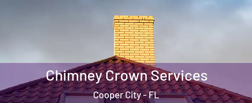 Chimney Crown Services Cooper City - FL