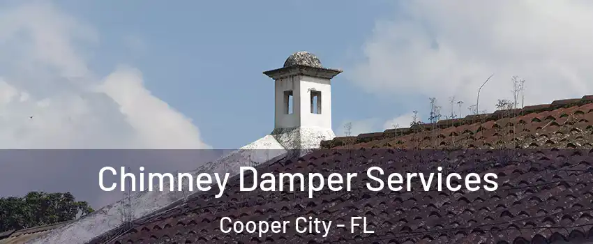  Chimney Damper Services Cooper City - FL