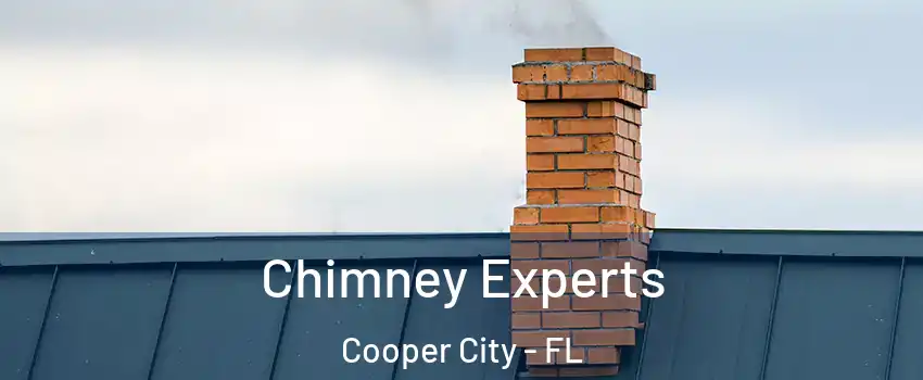  Chimney Experts Cooper City - FL