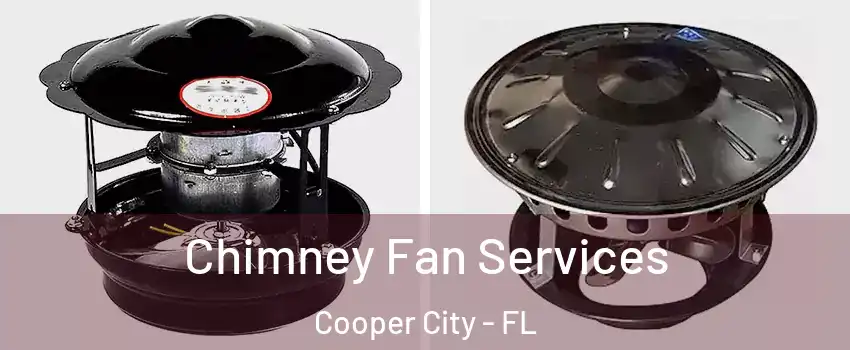  Chimney Fan Services Cooper City - FL