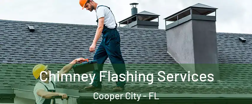 Chimney Flashing Services Cooper City - FL