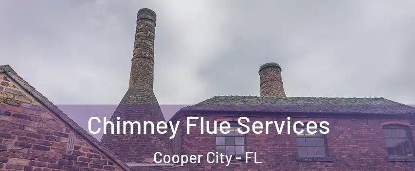  Chimney Flue Services Cooper City - FL