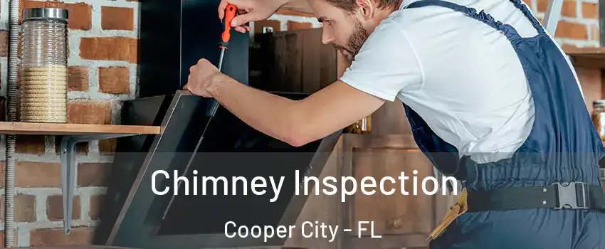  Chimney Inspection Cooper City - FL