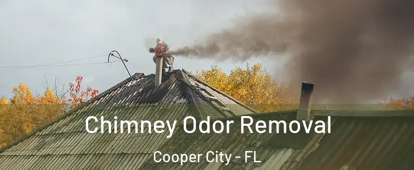  Chimney Odor Removal Cooper City - FL