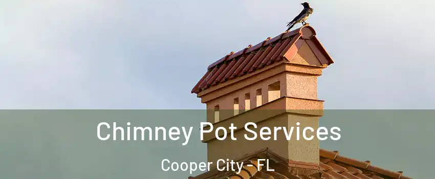  Chimney Pot Services Cooper City - FL