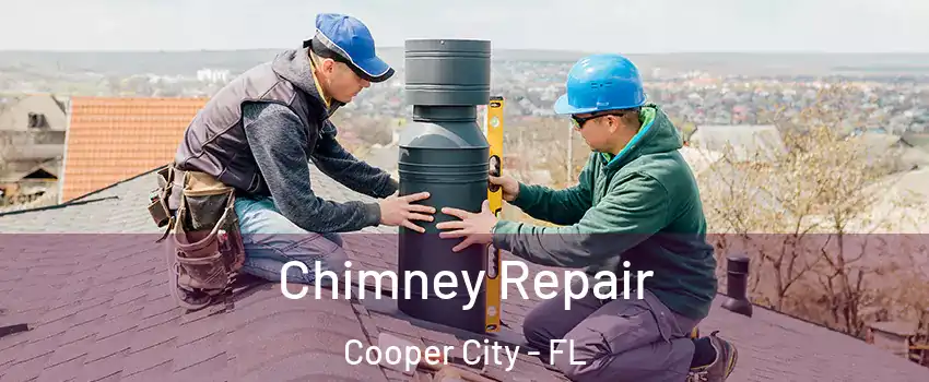  Chimney Repair Cooper City - FL