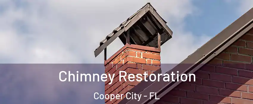  Chimney Restoration Cooper City - FL