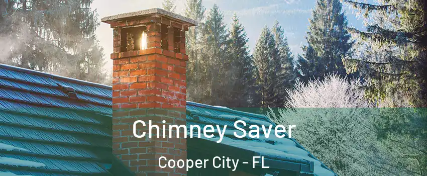  Chimney Saver Cooper City - FL