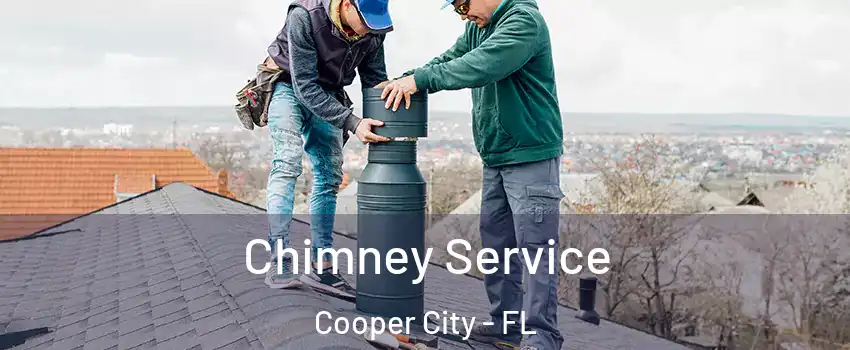  Chimney Service Cooper City - FL