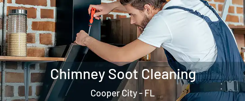  Chimney Soot Cleaning Cooper City - FL