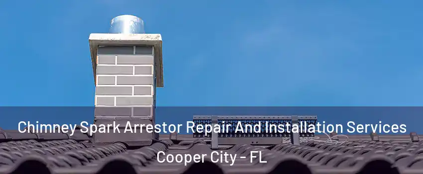  Chimney Spark Arrestor Repair And Installation Services Cooper City - FL