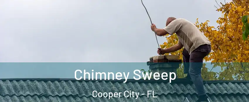 Chimney Sweep Cooper City - FL