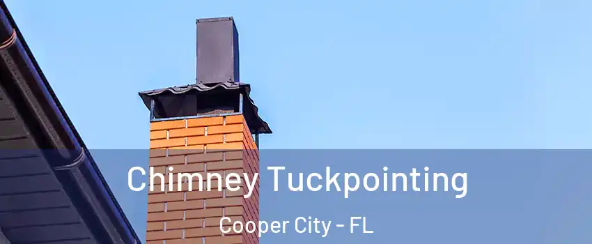  Chimney Tuckpointing Cooper City - FL