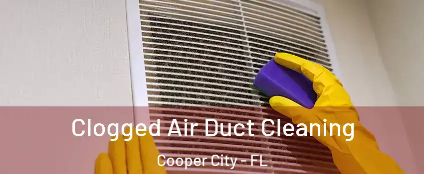 Clogged Air Duct Cleaning Cooper City - FL