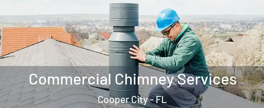  Commercial Chimney Services Cooper City - FL