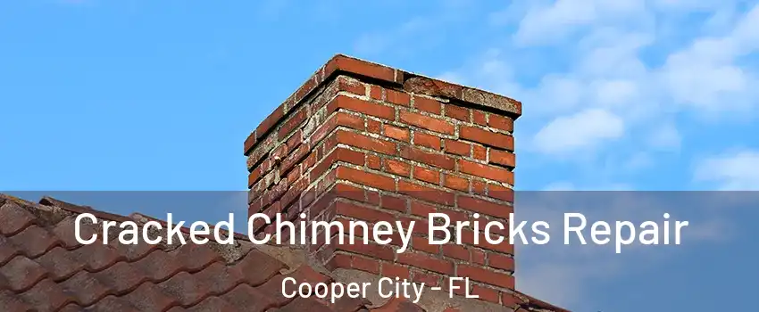  Cracked Chimney Bricks Repair Cooper City - FL