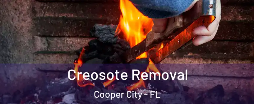  Creosote Removal Cooper City - FL