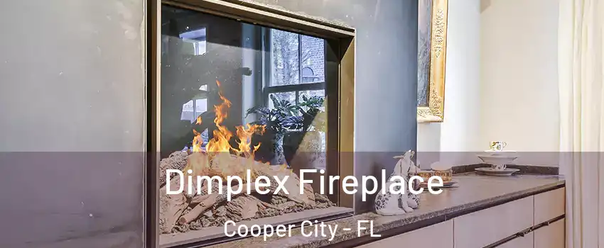  Dimplex Fireplace Cooper City - FL