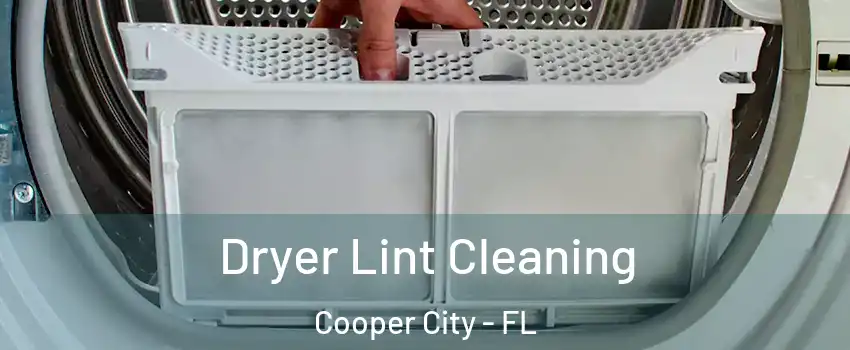  Dryer Lint Cleaning Cooper City - FL