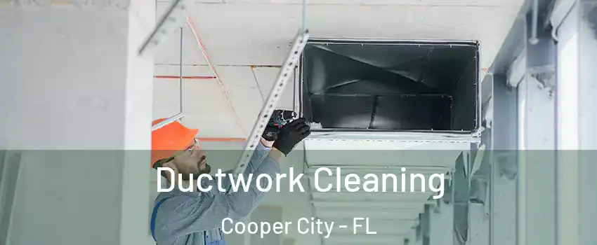  Ductwork Cleaning Cooper City - FL