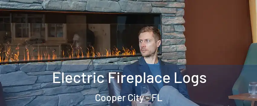  Electric Fireplace Logs Cooper City - FL