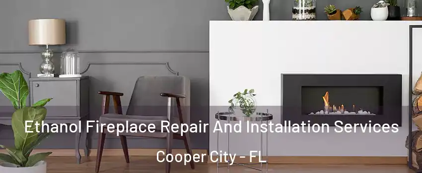  Ethanol Fireplace Repair And Installation Services Cooper City - FL