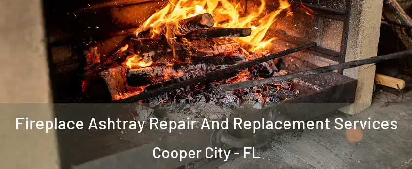 Fireplace Ashtray Repair And Replacement Services Cooper City - FL
