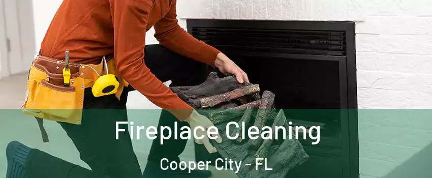 Fireplace Cleaning Cooper City - FL