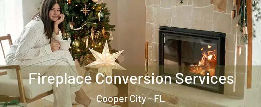  Fireplace Conversion Services Cooper City - FL