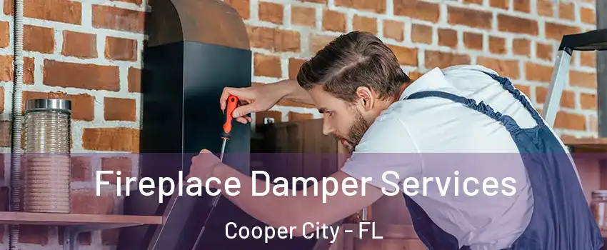  Fireplace Damper Services Cooper City - FL