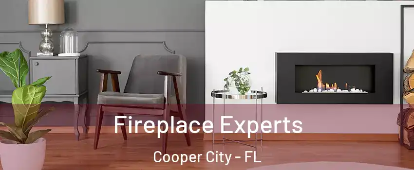  Fireplace Experts Cooper City - FL