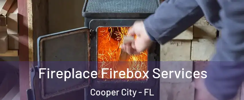  Fireplace Firebox Services Cooper City - FL
