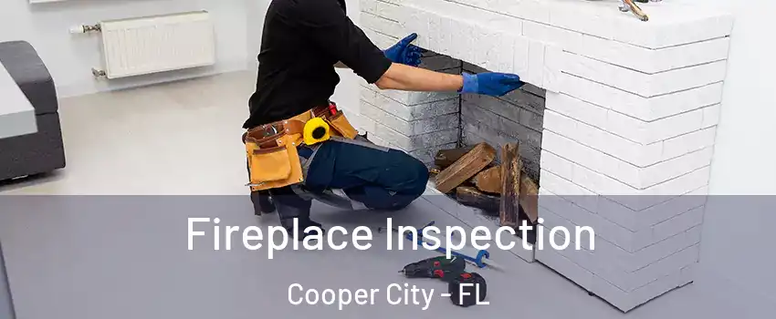  Fireplace Inspection Cooper City - FL