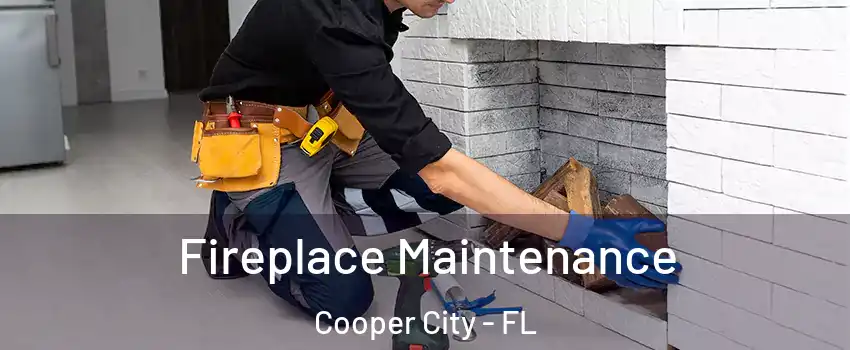  Fireplace Maintenance Cooper City - FL
