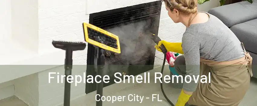  Fireplace Smell Removal Cooper City - FL