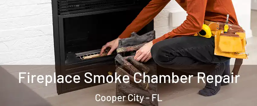  Fireplace Smoke Chamber Repair Cooper City - FL
