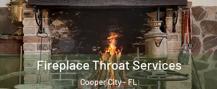  Fireplace Throat Services Cooper City - FL