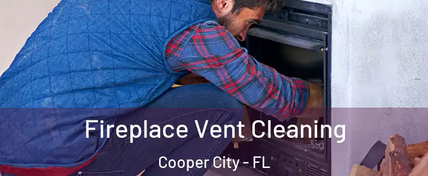  Fireplace Vent Cleaning Cooper City - FL